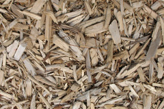 biomass boilers Anagach
